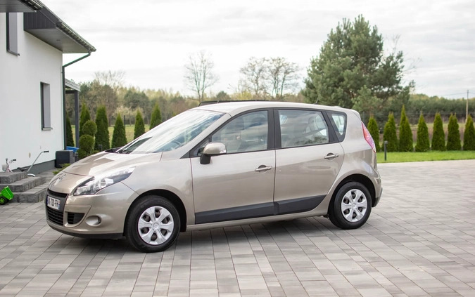 Renault Scenic cena 24950 przebieg: 243550, rok produkcji 2010 z Nisko małe 781